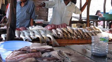 Imagem Na Bahia, comer peixe ainda é caro