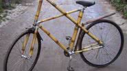 Imagem Bicicletas de bambu vira novidade nas ruas de São Paulo