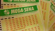 Imagem Mega-Sena pode pagar R$ 13,5 milhões neste sábado