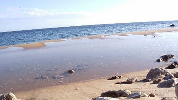 Imagem Cinco praias devem ser evitadas neste fim de semana