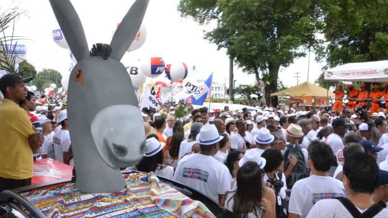 Imagem Bonfim: Com criatividade jegue circula pela lavagem