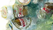 Imagem Petrópolis se consolida em segundo lugar na guerra das cervejas