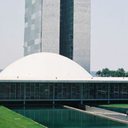 O cão é do Serviço de Cinotecnica do Senado e faz parte da segurança do Congresso. - Imagem: Reprodução