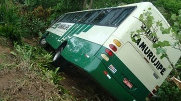 Imagem Ônibus cai em ribanceira e deixa 20 feridos