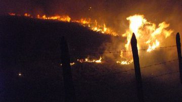 Imagem Incêndio destrói área de proteção ambiental