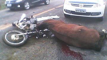 Imagem Homem morre após colidir com cavalo na BA-262