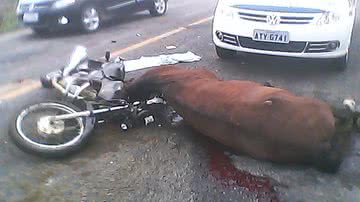 Imagem Homem morre após colidir com cavalo na BA-262