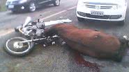 Imagem Homem morre após colidir com cavalo na BA-262