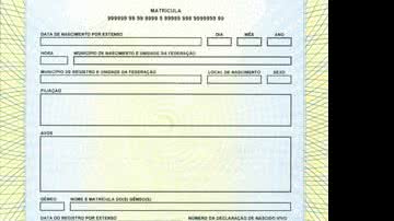 Imagem Nova certidão de nascimento já está valendo