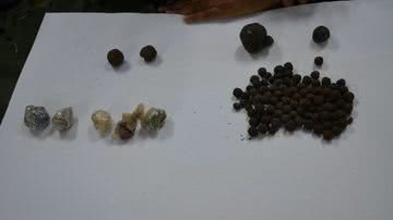 Imagem Polícia detalha apreensão de 16 t de maconha na Bahia