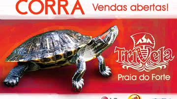 Imagem Confira o resultado da promoção Trivela do Asa