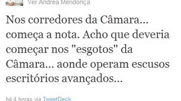 Imagem Andréa Mendonça critica o Setps e os “esgotos” da Câmara