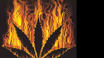 Imagem Maconha no Rio é 283 vezes mais cara que no Paraguai