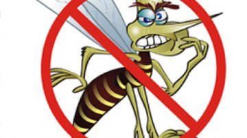 Imagem Salvador em alerta para a dengue
