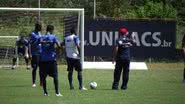 Divulgação