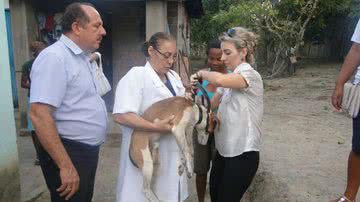 Imagem Arimatéia quer implantar Hospital Veterinário Público na Bahia 