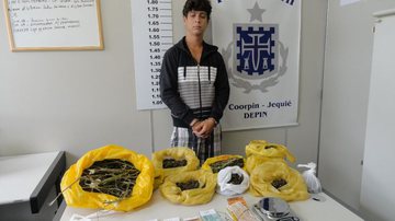 Imagem Policia prende traficante com três quilos de maconha