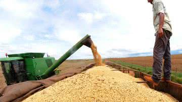Imagem Brasil se prepara para tomar liderança da Soja do EUA