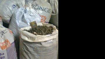 Imagem Homem é preso com dez sacos de maconha em Feira