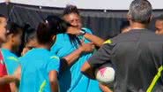 Imagem Cortada, Elaine chora ao deixar seleção feminina de futebol