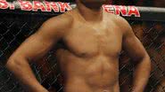 Imagem Socos milionários de Anderson Silva