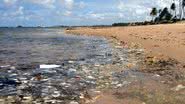 Imagem Cerca de 17% do esgoto vão parar nas praias