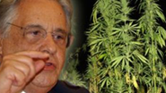 Imagem FHC diz que fumar maconha é como tomar cachaça
