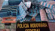 Imagem PRF faz na Bahia a maior apreensão de arrebites do país