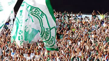 Imagem Torcidas organizadas ampliam poder sobre os clubes de futebol