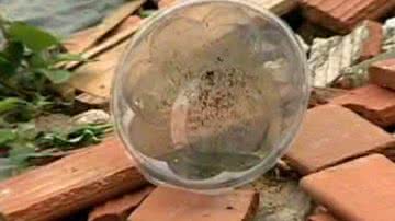 Imagem Barra e Rio Vermelho perdem batalha contra dengue