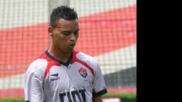 Imagem Leão e Galo na Arena do Jacaré
