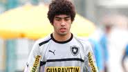 Imagem Novo reforço do Botafogo pode estrear contra o Bahia 