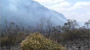 Imagem Incêndio florestal gera riscos em 60 municípios