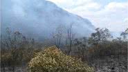 Imagem Incêndio florestal gera riscos em 60 municípios