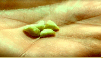 Imagem Nova droga ameaça o Brasil
