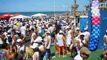Imagem Cãominhada acontece neste domingo na Barra