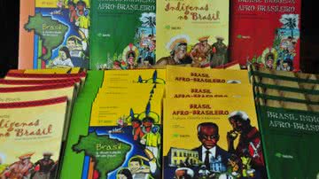Imagem Cumprimento de lei que obriga ensino da cultura indígena e afro é tema de debate