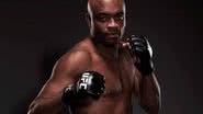 Imagem Anderson Silva volta ao UFC em 2013