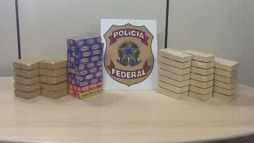 Imagem PF apreende 40 kg de cocaína próximo a Ilhéus