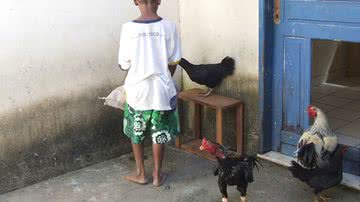 Imagem Criança de 11 anos é apreendida 62 vezes na Bahia