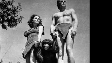 Imagem Morre o chimpanzé Chita, inesquecível acompanhante de Tarzan