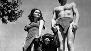 Imagem Morre o chimpanzé Chita, inesquecível acompanhante de Tarzan