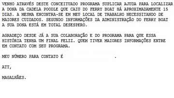 Imagem Poodle cai do ferry, nada até a margem e agora, procura o dono