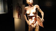 Imagem O corpo humano em exibição