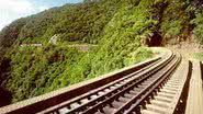Imagem MPF pede suspensão de obras da Ferrovia Oeste-Leste 