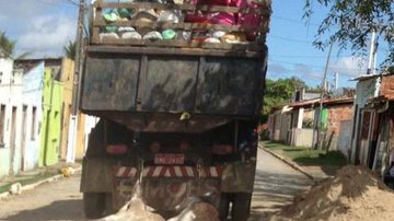 Imagem Caminhão do lixo arrasta jegues mortos pela cidade