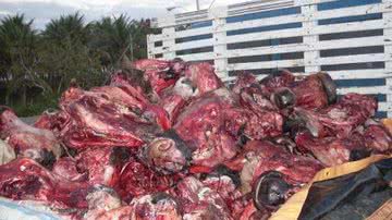 Imagem PRF apreende quatro toneladas de restos de animais 