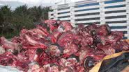 Imagem PRF apreende quatro toneladas de restos de animais 