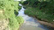 Imagem Bahia tem rio mais poluído do país