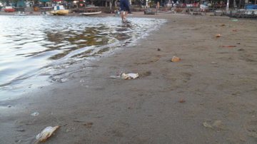 Imagem Fique atento às praias impróprias para banho em Salvador
